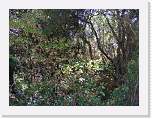 DSCF0020 * 2848 x 2136 * (1.6MB)