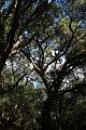 stevenscreek03