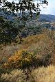 stevenscreek05