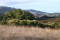 stevenscreek13
