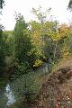stevenscreek40