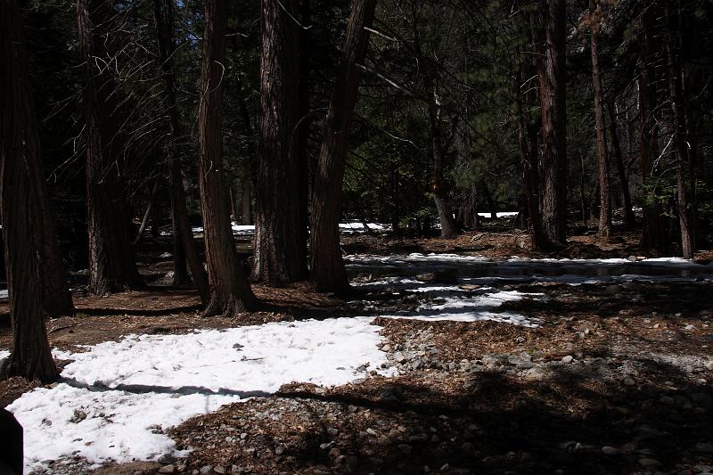 yosemite054.JPG - There's still snow on the ground.