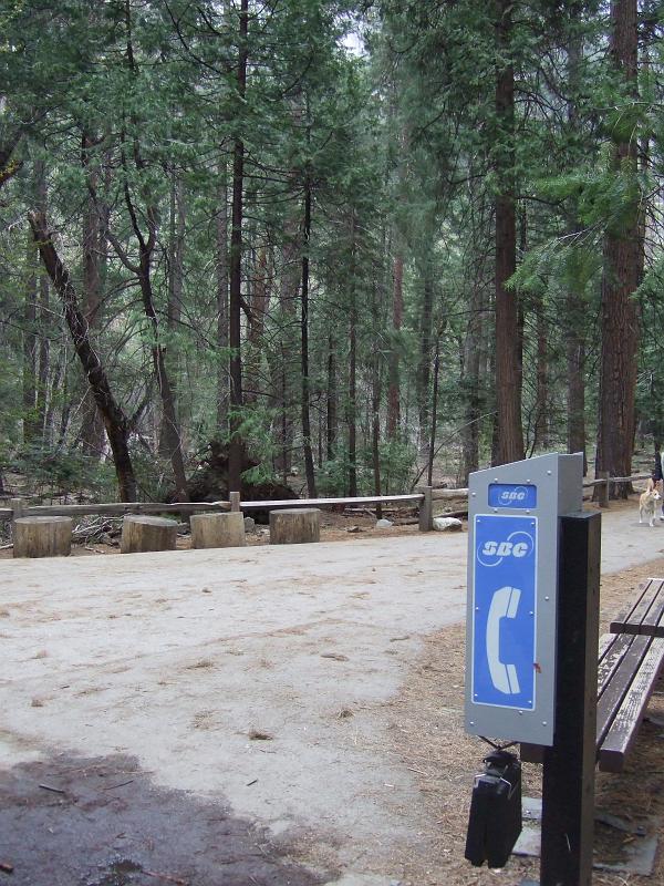yosemite204.JPG - Back on the ground, ready to make phone calls.