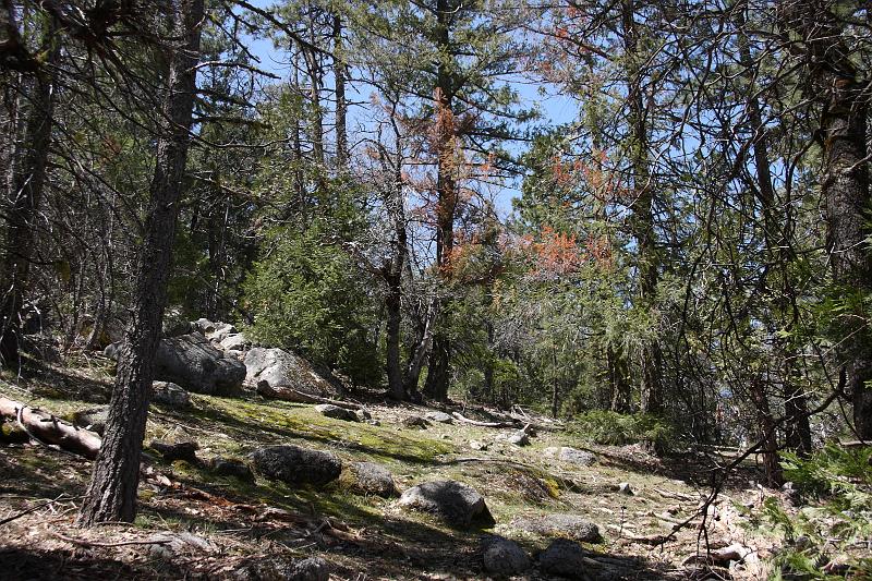 yosemite313.JPG - At the top, near Inspiration Point.