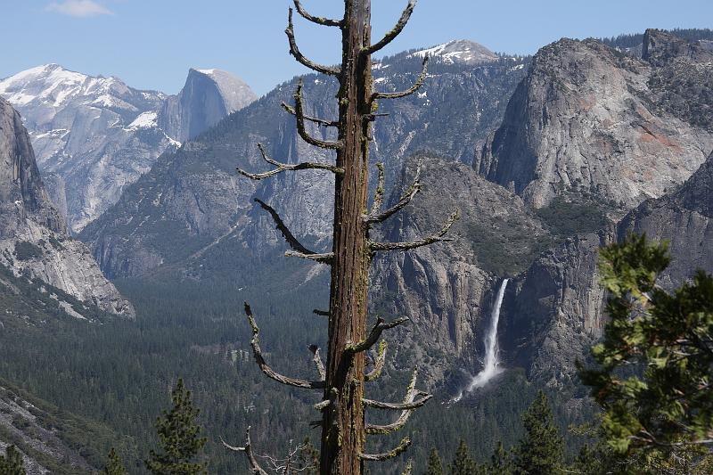 yosemite372.JPG - We're on our way down now.