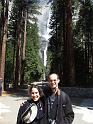 yosemite001