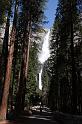 yosemite007