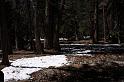 yosemite054