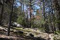 yosemite313