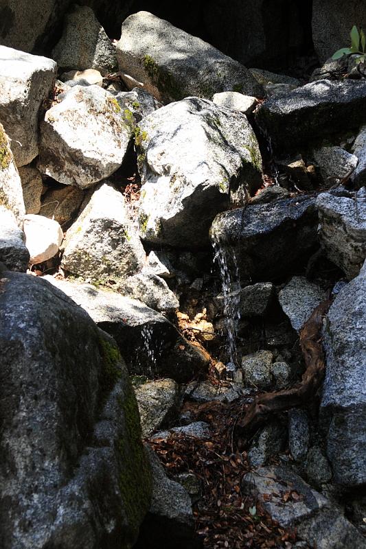 yosemite2010_009.JPG - We've had a wet winter so there are plenty of creeks along the trail.