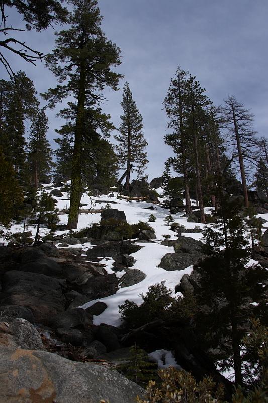 yosemite2010_124.JPG - We're above 6000 feet of elevation.