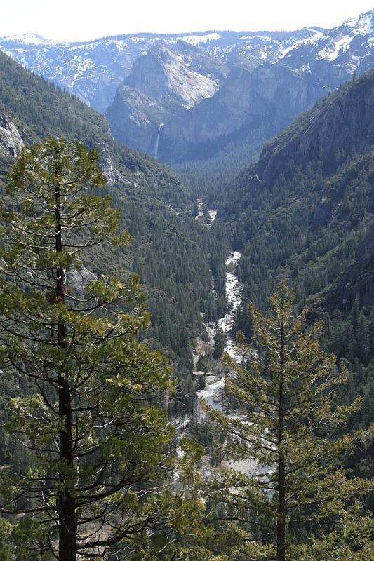 yosemite2010_218.JPG - Bridalveil Falls in the distance.