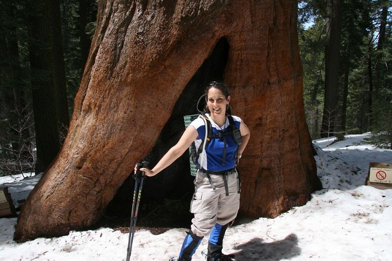 yosemite2010_234.JPG - Stopping at the big trees.