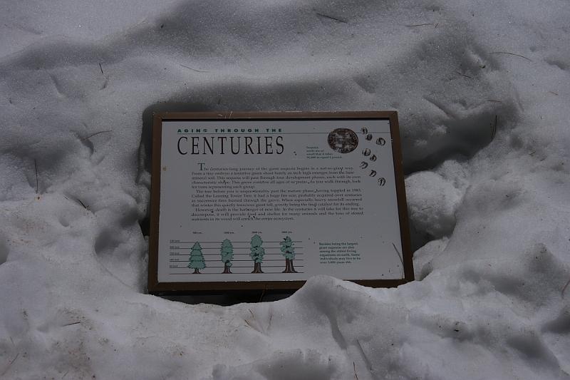 yosemite2010_251.JPG - Gives you an idea of the amount of snow.
