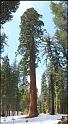 pano5