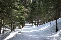 yosemite2010_225