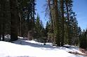 yosemite2010_228