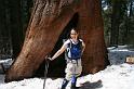 yosemite2010_234
