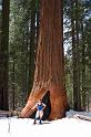 yosemite2010_235