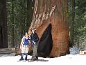 yosemite2010_237