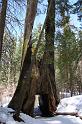 yosemite2010_240