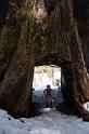 yosemite2010_241
