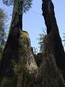 yosemite2010_245