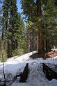 yosemite2010_246