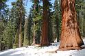 yosemite2010_249