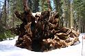 yosemite2010_252
