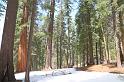 yosemite2010_254