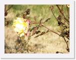 100_0322 * 2592 x 1944 * (2.12MB)