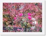 100b0360 * 2592 x 1944 * (1.29MB)