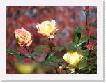 100b0380 * 2592 x 1944 * (861KB)