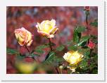 100b0381 * 2592 x 1944 * (870KB)