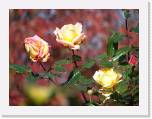 100b0382 * 2592 x 1944 * (866KB)