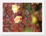 100b0391 * 2592 x 1944 * (803KB)