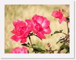 100b0401 * 2592 x 1944 * (871KB)
