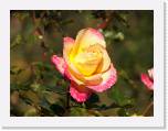 100b0441 * 2592 x 1944 * (752KB)