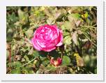 100b0570 * 2592 x 1944 * (1.06MB)