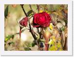 100b0630 * 2592 x 1944 * (901KB)
