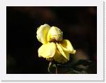 100b0690 * 2592 x 1944 * (562KB)