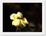 100b0691 * 2592 x 1944 * (562KB)