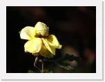 100b0692 * 2592 x 1944 * (573KB)