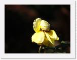 100b0700 * 2592 x 1944 * (575KB)